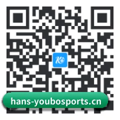 苹果版 iOS 二维码